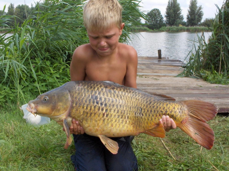 04Zomer (32).JPG